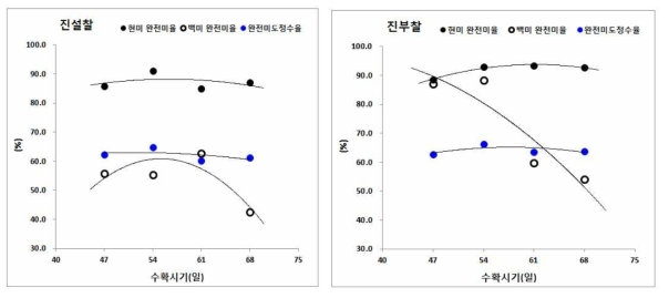 조생종 찰벼의 수확시기에 따른 현미와 백미의 완전미율, 완전미 도정수율