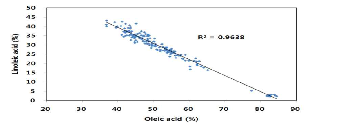 땅콩 올레산(Oleic acid)과 리놀레산(Linoleic acid) 상관 관계