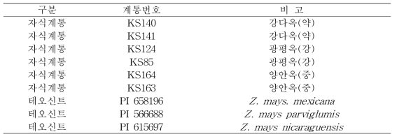 시험에 사용된 옥수수 자식계통 및 테오신트