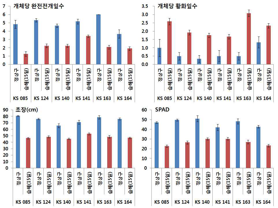 15일 습해처리에 의한 옥수수 자식계통별 생육 및 엽색도 반응