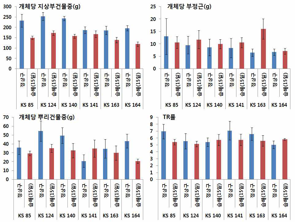 15일 습해처리에 의한 옥수수 자식계통별 지상부 및 지하부 건물중 변화