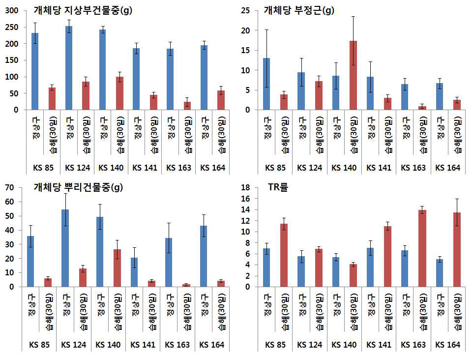 30일 습해처리에 의한 옥수수 자식계통별 지상부 및 지하부 건물중 변화