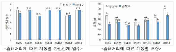 습해 처리에 따른 계통별 완전전개 엽수 및 초장