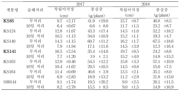 습해 처리에 따른 연차간 옥수수 자식 계통의 착립이삭장 및 종실중