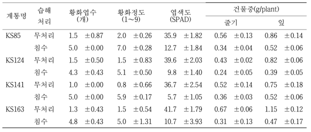 침수 10일후 지상부 습해 관련 제 형질의 변화