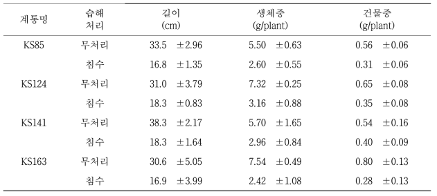 침수 10일후 지하부 생장 특성