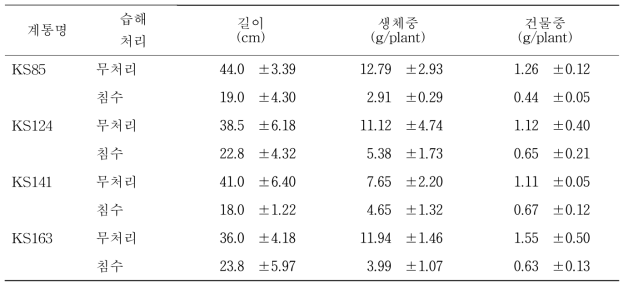 침수 20일후 지하부 생장 특성