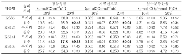 유묘기 습해처리에 의한 계통별 광합성 관련 특성