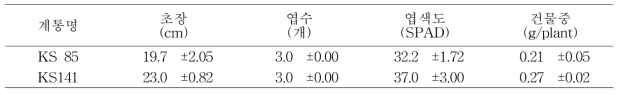 습해 처리 전 지상부 생육 특성