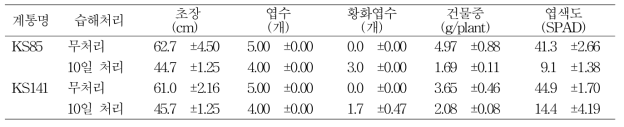 습해 처리후 10일의 지상부 생육 특성