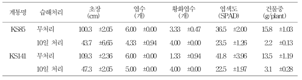 습해 처리후 20일의 지상부 생육 특성