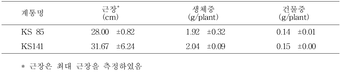 습해 처리전 지하부 생장 특성