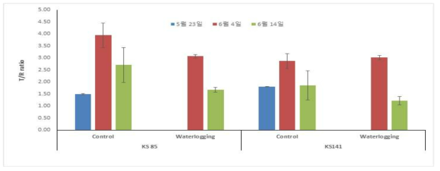 습해처리 기간에 따른 T/R율 변화