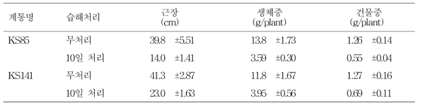 습해 처리후 10일의 지하부 생장 특성