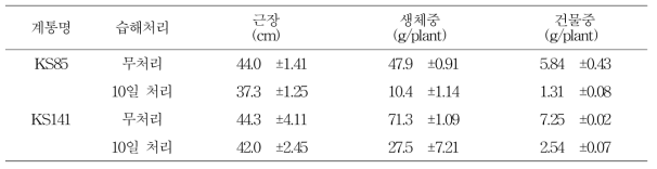 습해 처리후 20일의 생장 특성