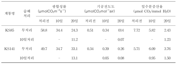 유묘기 습해처리에 의한 계통별 광합성 관련 특성