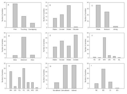 Frequency distribution of flower and fruit characteristics. A, Arrangement of petals; B, petal shape; C, undulation of petal margin; D, stigma position in relation to anthers; E, fruit shape; F, over color of skin (YE, yellow; OY, orange yellow; MR, medium red; DR, dark red; PU, purple; BL, black); G, color of fruit flesh (WH, whitish; GR, green; YG, yellowish green; YE, yellow; OR, orange; MR, medium red; DR, dark red); H, adherence of stone to fresh; I, stone shape in lateral view (NE, narrow elliptic; ME, medium elliptic; CI, circular; BO, broad ovate)