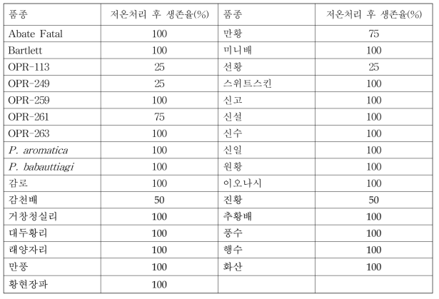 배지 조성②에서 저온처리 7개월 후 배 기내 식물체의 생존율