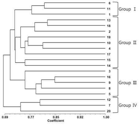포도 무핵 유전자원 20점의 유연관계를 나카내는 UPGMA 덴드로그램