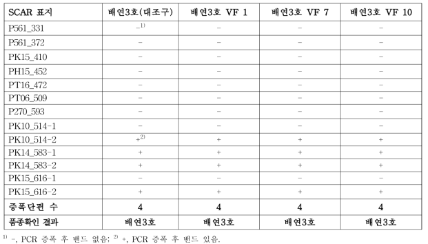 분자표지를 이용한 ‘배연3호’ 무병묘의 품종 확인 결과