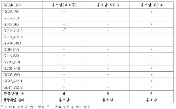 분자표지를 이용한 ‘홍소담’ 무병묘의 품종 확인 결과