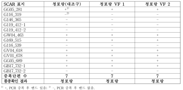 분자표지를 이용한 ‘청포랑’ 무병묘의 품종 확인 결과