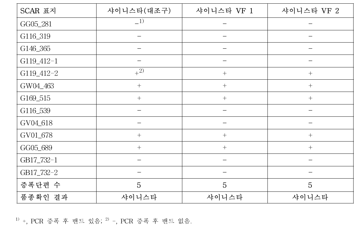 분자표지를 이용한 포도 ‘샤이니스타’ 무병묘의 품종 확인 결과