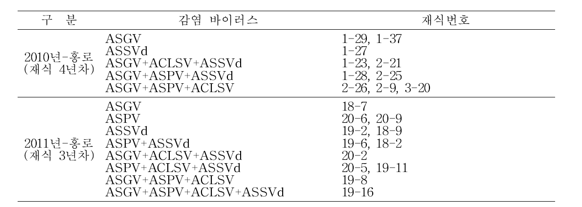 사과 홍로 품종의 바이러스 감염주 양성현황 및 감염 바이러스 종류