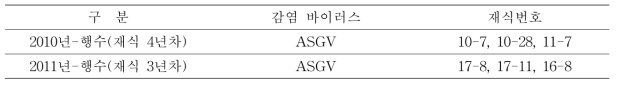 배 행수 품종의 바이러스 감염주 양성현황 및 감염 바이러스 종류