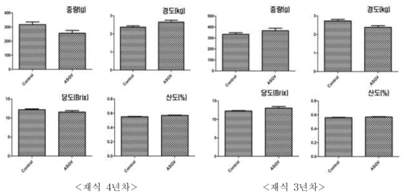 바이러스에 감염된 배 행수 품종의 과실품질