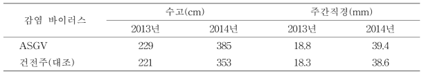 바이러스 감염에 따른 행수 품종(재식 3년차)의 수체생육