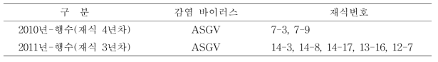 배 만수 품종의 바이러스 감염주 양성현황 및 감염 바이러스 종류