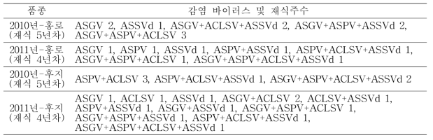 사과 바이러스 감염주 재식현황