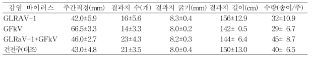 바이러스 감염에 따른 포도 켐벨얼리(8년생) 품종의 수체생육 및 과실수량