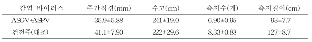 사과 아리수의 품종의 수체생육