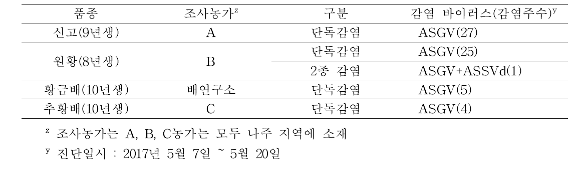 배 신고, 원황, 황금배, 추황배 품종 조사농가의 바이러스 감염 현황