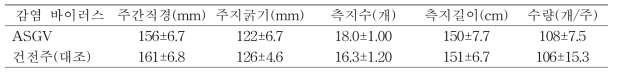 배 황금배 품종의 수체생육 및 수량(배연구소, 10년생, 9월 8일)