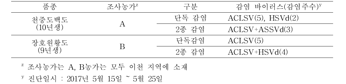 복숭아 천중도백도 및 장호원황도 품종의 조사농가에 대한 바이러스 감염현황