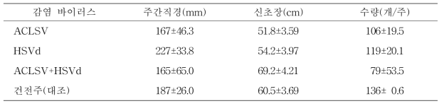 복숭아 천중도백도 품종의 수체생육 및 수량(이천, 10년생, 8월15일)