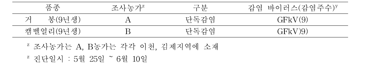 포도 거봉 및 캠벨얼리 품종의 조사농가에 대한 바이러스 감염 현황