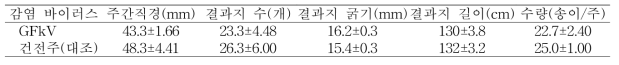 포도 거봉 품종의 수체생육 및 수량(이천, 9년생, 9월 20일)