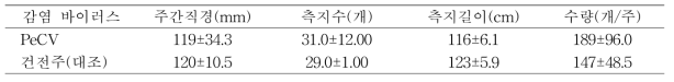 감 부유 품종의 수세 및 수확량(영암, 10년생, 10월 30일)