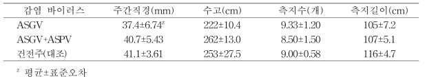 사과 아리수 품종의 수체생육(문경, 5년생, 10월 17일)