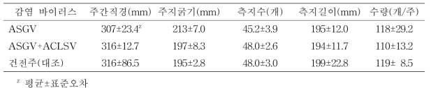 배 황금배 품종의 수체생육 및 수확량(나주, 23년생, 8월 21일)