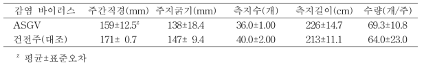 배 추황배 품종의 수체생육 및 수확량(나주, 15년생, 10월 10일)