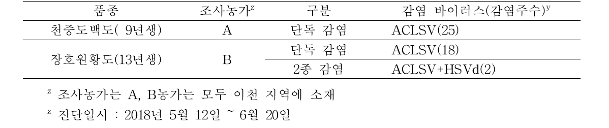 복숭아 천중도백도 및 장호원황도 품종의 조사농가의 바이러스 감염 현황