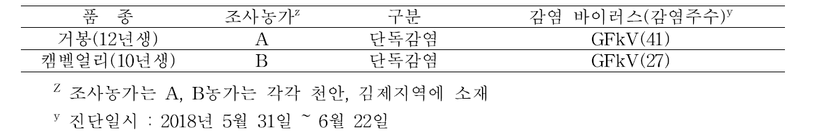 포도 거봉 및 캠벨얼리 품종 조사농가의 바이러스 감염 현황