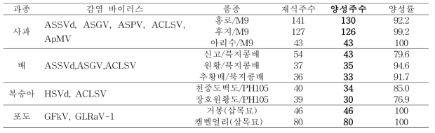 실증포장 묘목양성 현황