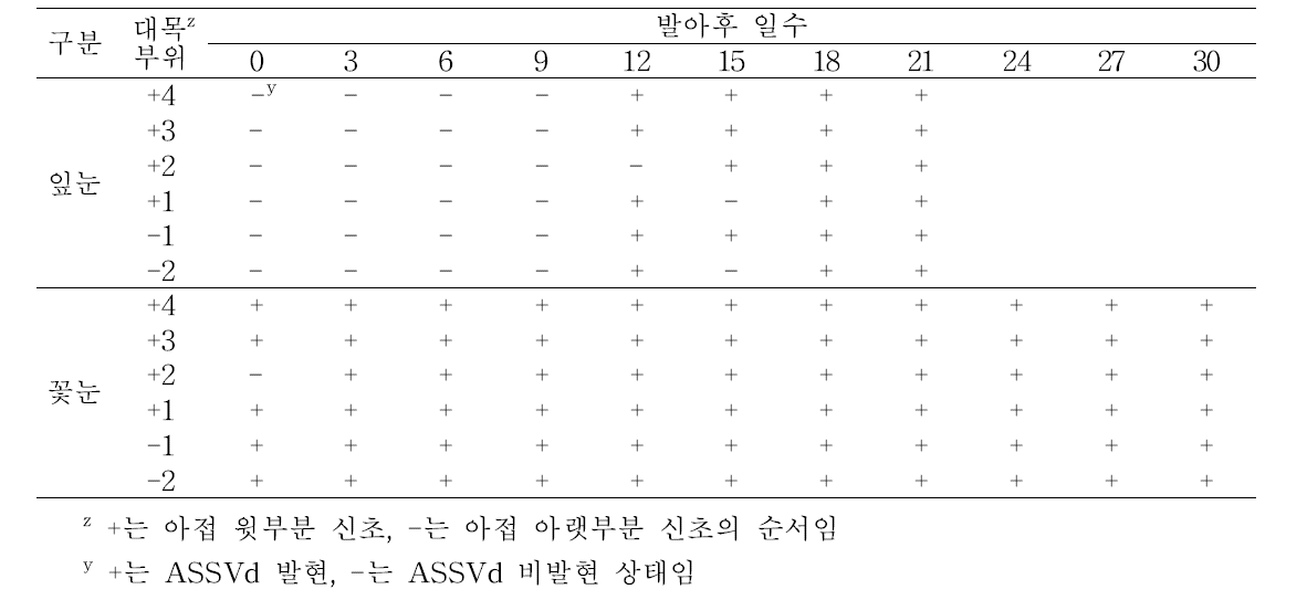 ASSVd가 감염된 잎눈 및 꽃눈(접수)의 발아후 대목에서의 ASSVd의 발현양상