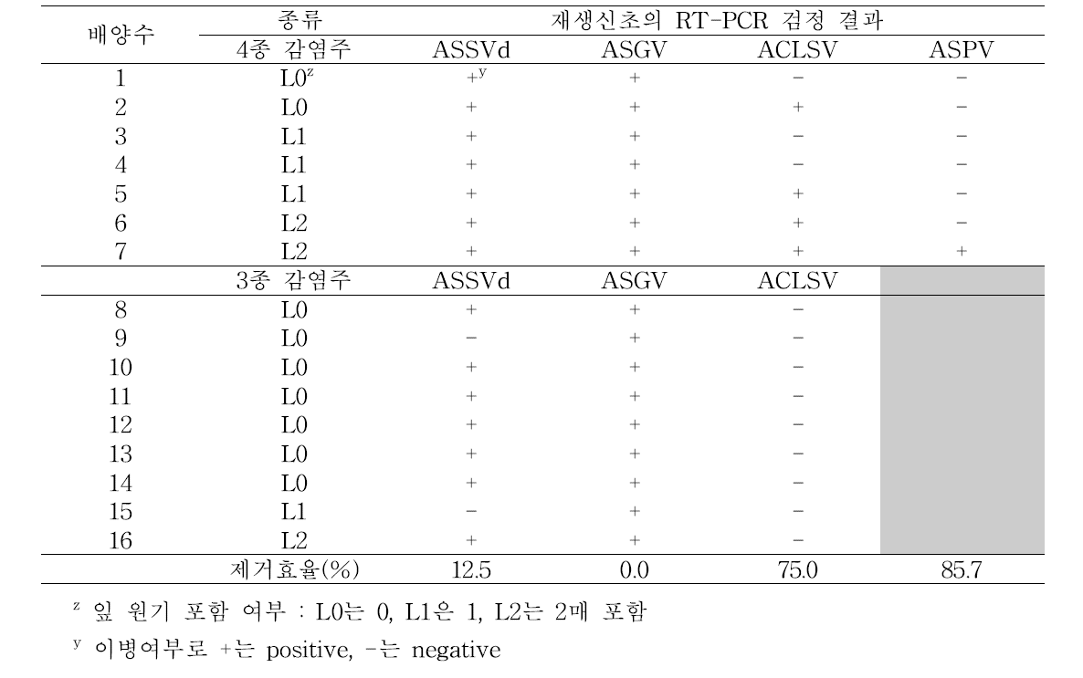 사과 홍로 품종의 잎눈 휴면아의 경정배양에 따른 바이러스 이병 여부